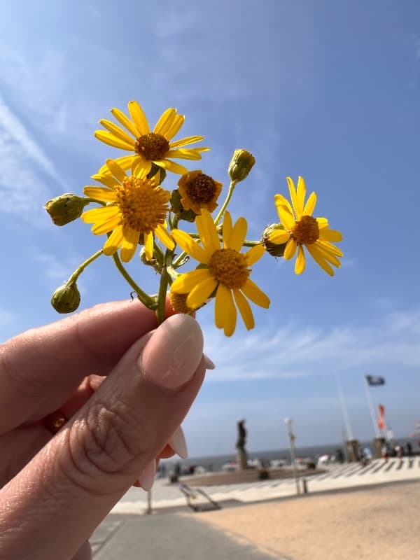 Profile image for Patricia