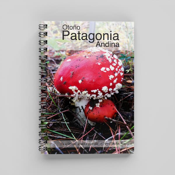 Cuadernos de viaje A5